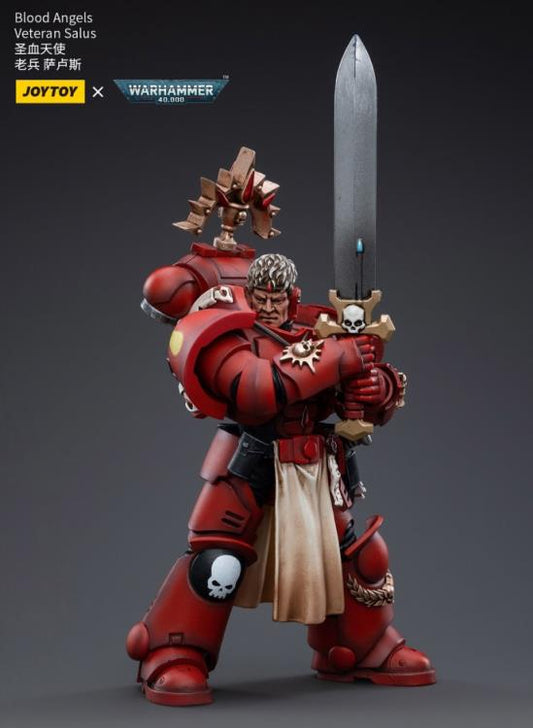 Warhammer 40K - Blood Angels - Veteran Salus