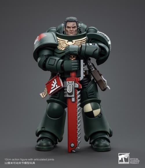Warhammer 40K - Dark Angels - Intercessors Brother Asharr